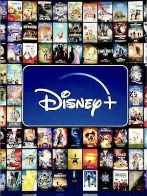 Disney Plus 12 meses